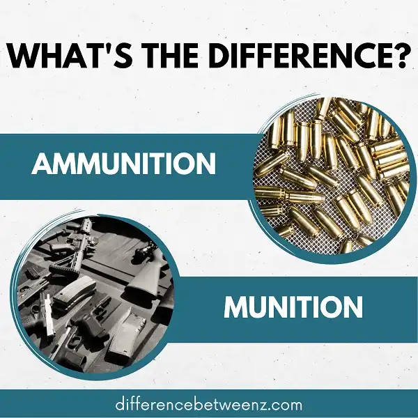 Difference between Ammunition and Munition