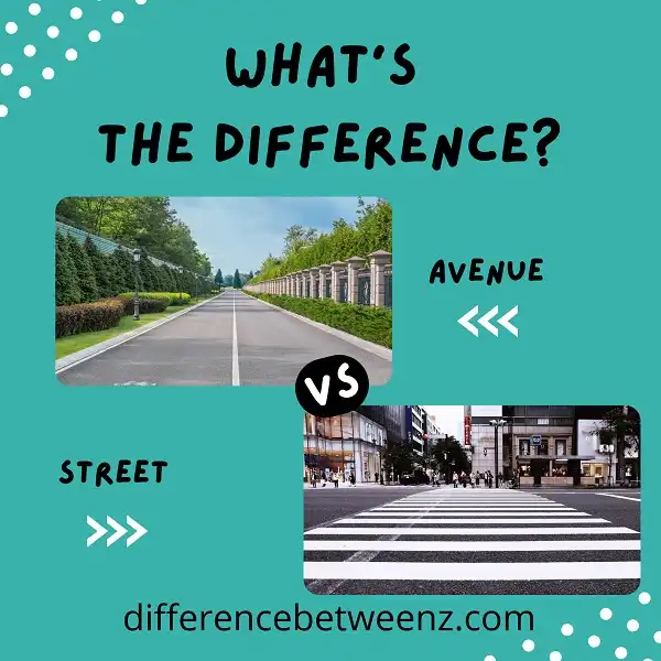Difference between Avenue and Street