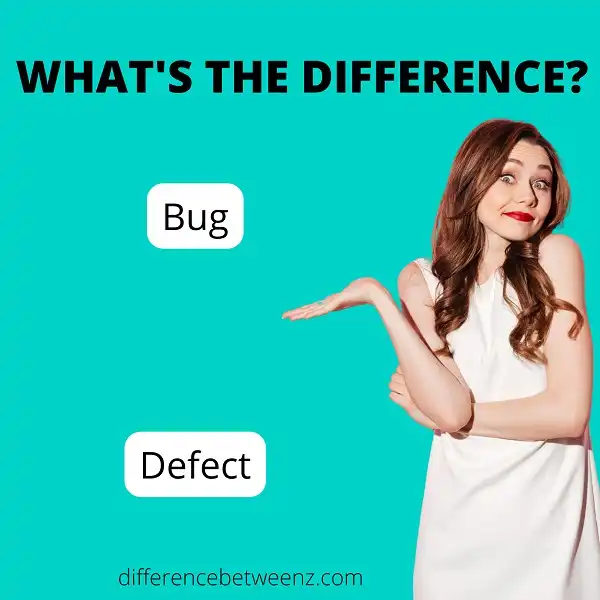 Difference between Bug and Defect