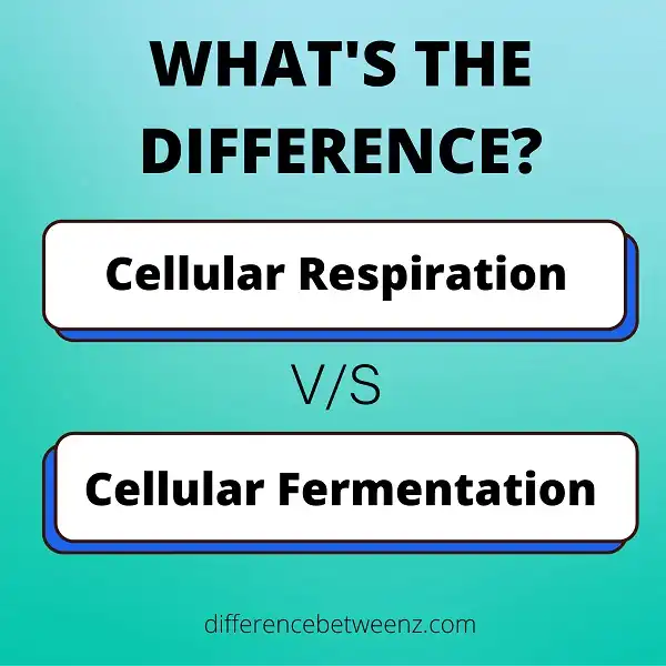Difference between Cellular Respiration and Fermentation