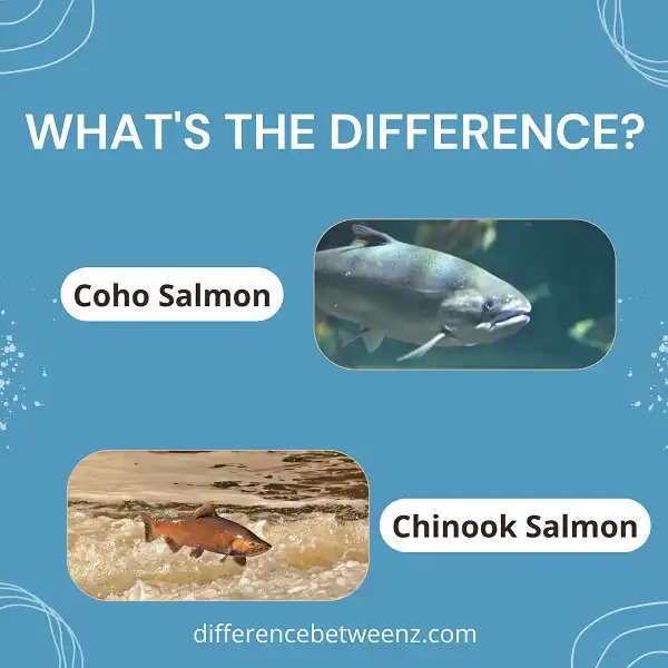Difference between Coho and Chinook Salmon