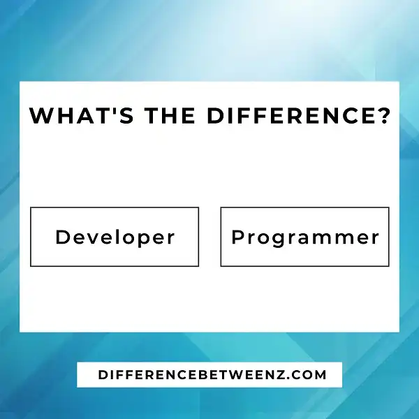 Difference between Developer and Programmer