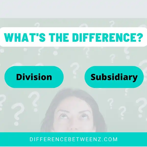Difference between Division and Subsidiary