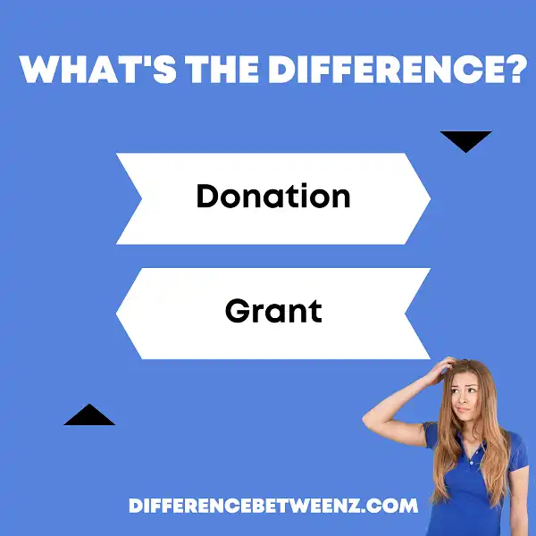 Difference between Donation and Grant