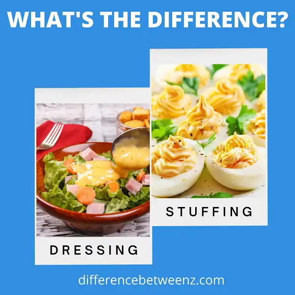 Difference between Dressing and Stuffing