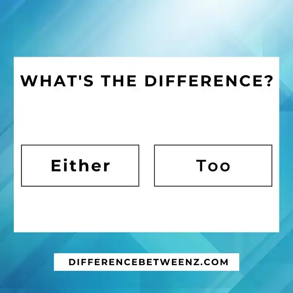 Difference between Either and Too