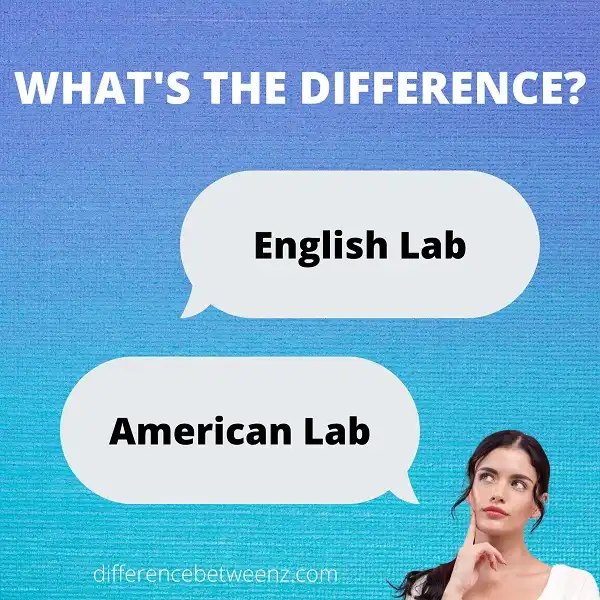Difference between English Labs and American Labs