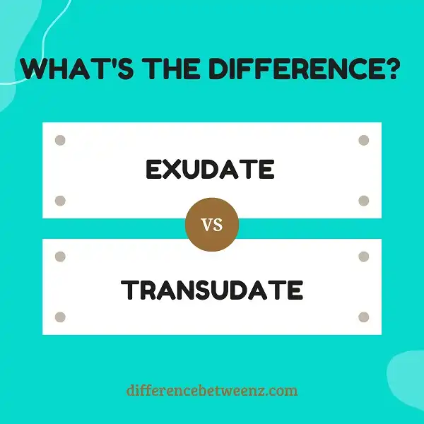 Difference between Exudate and Transudate
