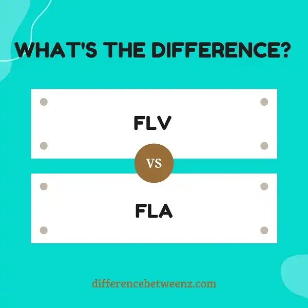 Difference between FLV and FLA