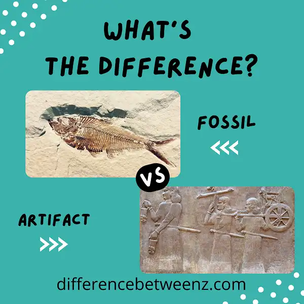 Difference between Fossil and Artifact