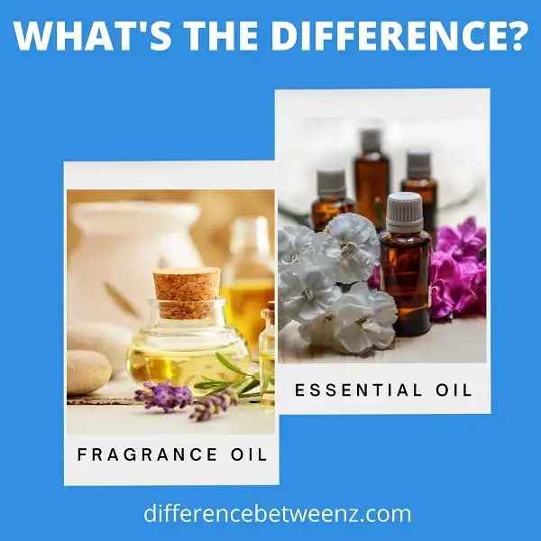 Difference between Fragrance Oil and Essential Oil