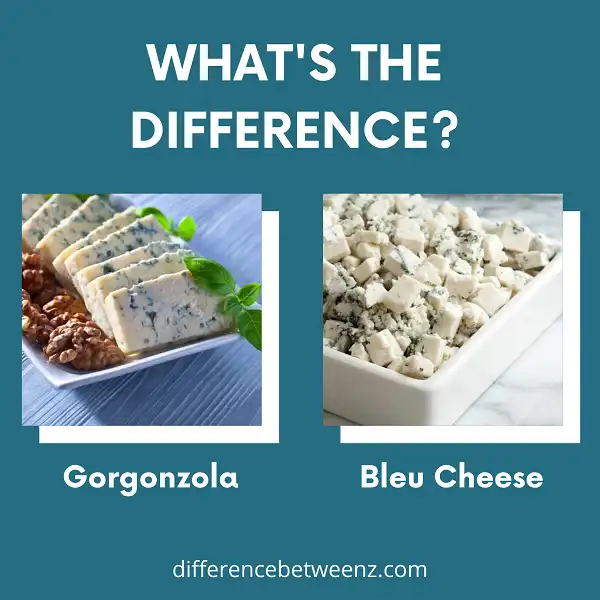 Difference between Gorgonzola and Bleu Cheese