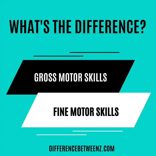 Difference between Gross and Fine Motor Skills