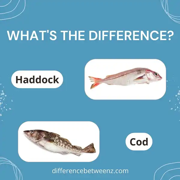 Difference between Haddock and Cod