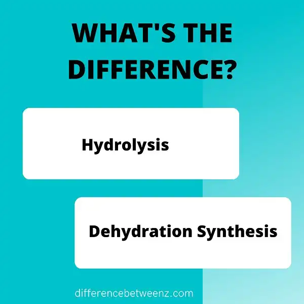 Difference between Hydrolysis and Dehydration Synthesis