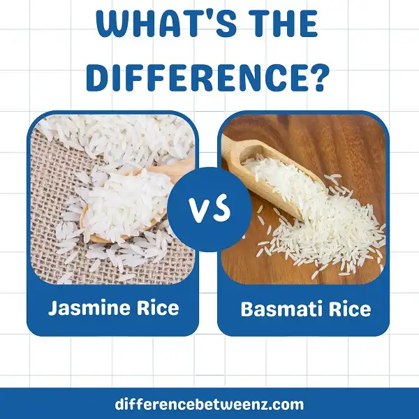 Difference between Jasmine and Basmati Rice