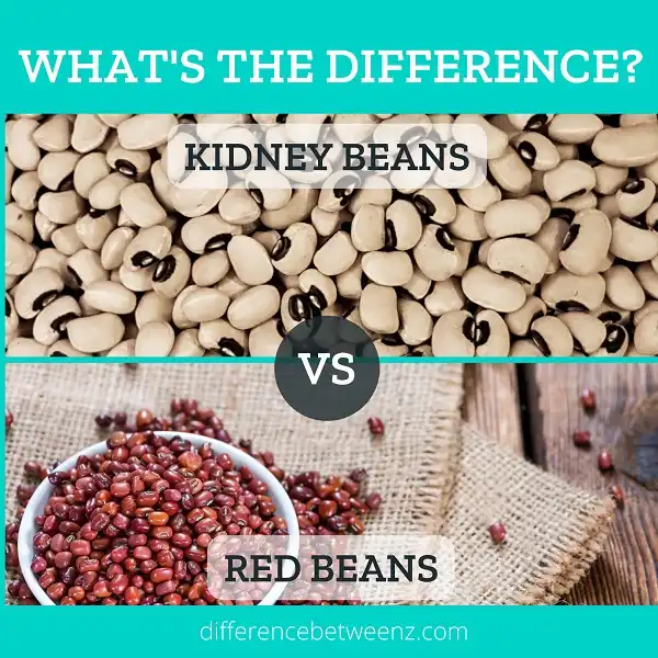 Difference between Kidney Beans and Red Beans