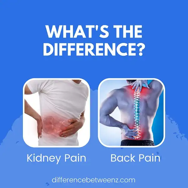 Difference between Kidney Pain and Back Pain
