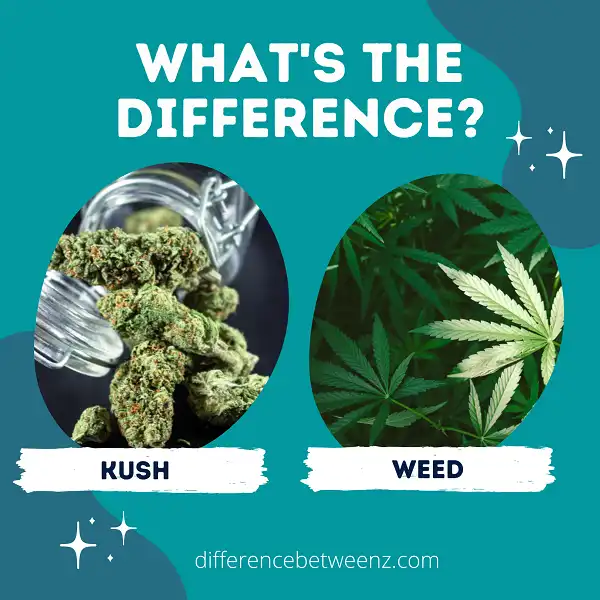 Difference between Kush and Weed