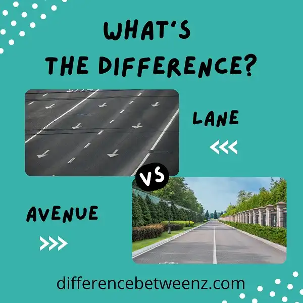 Difference between Lane and Avenue