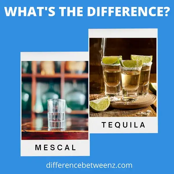 Difference between Mescal and Tequila