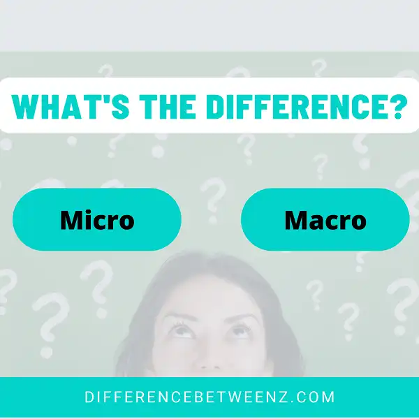 Difference between Micro and Macro