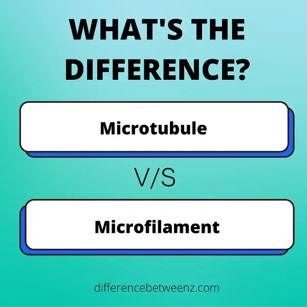 Difference between Microtubules and Microfilaments