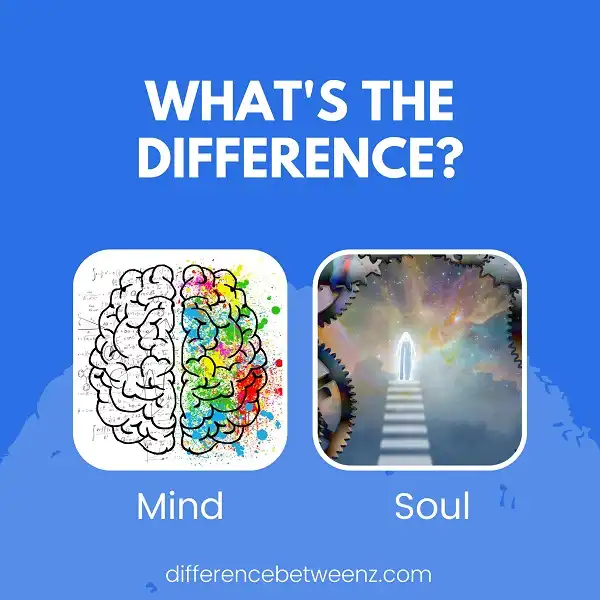 Difference between Mind and Soul