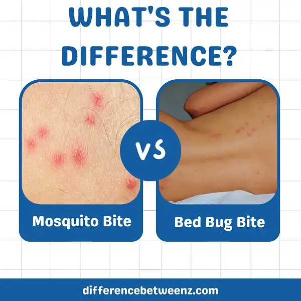 Difference Between Mosquito And Bed Bug Bites Difference Betweenz