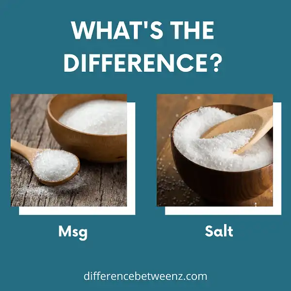 Difference between Msg and Salt