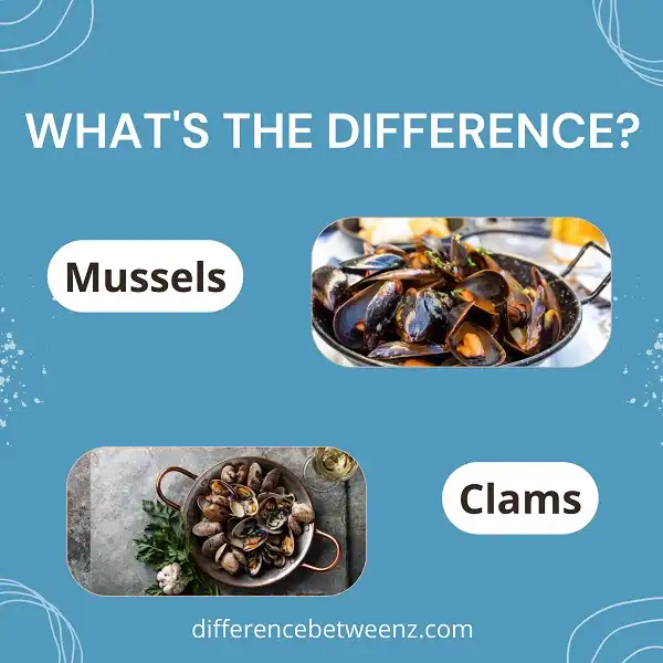 Difference between Mussels and Clams