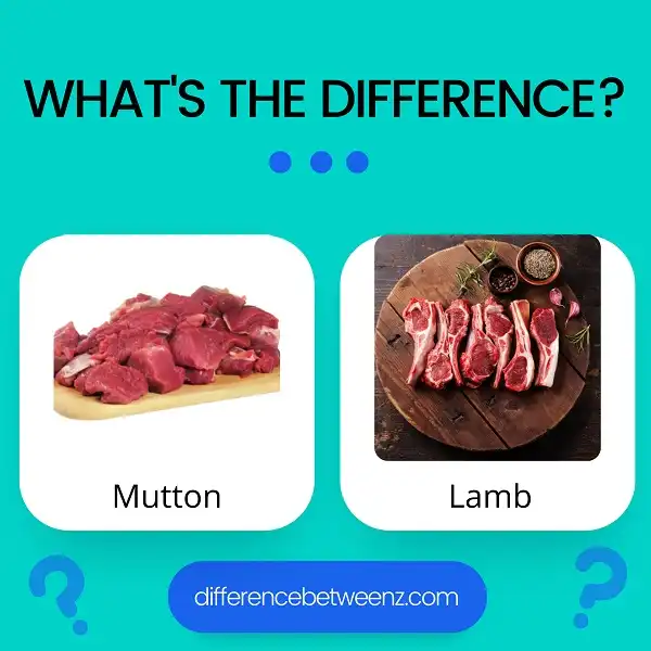 Difference between Mutton and Lamb