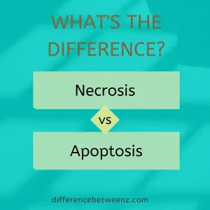 Difference between Necrosis and Apoptosis