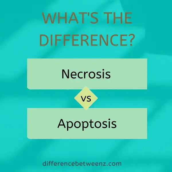 Difference between Necrosis and Apoptosis