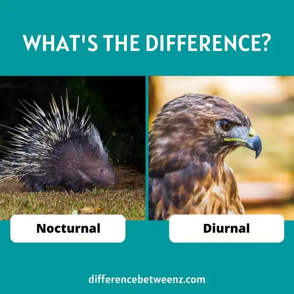 Difference between Nocturnal and Diurnal