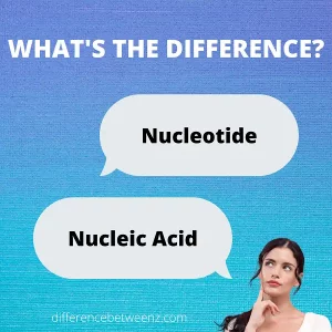 Difference between Nucleotide and Nucleic Acid