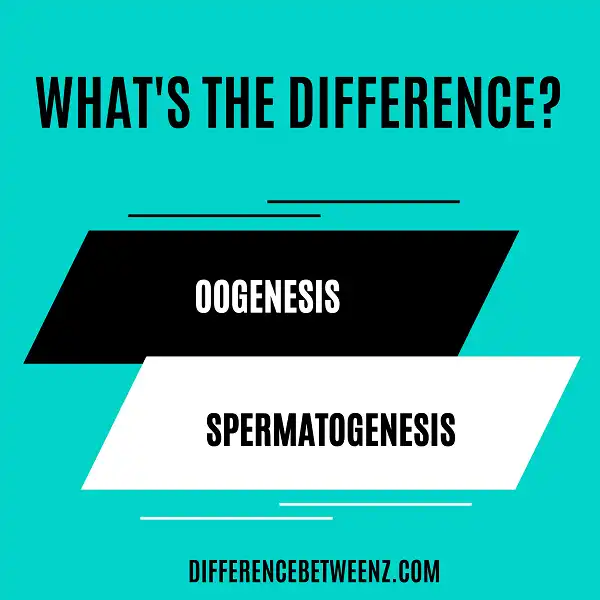 Difference between Oogenesis and Spermatogenesis