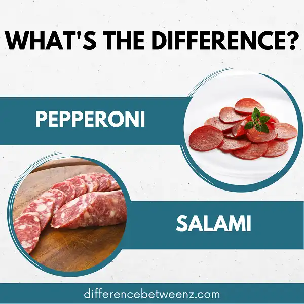 Difference between Pepperoni and Salami