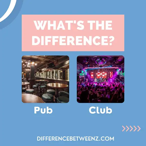 What are the differences between Bars, Pubs, Clubs, Discos and