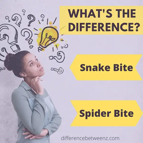 Difference between Snake Bites and Spider Bites