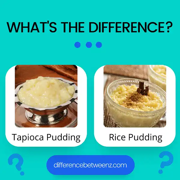 Difference between Tapioca and Rice Pudding