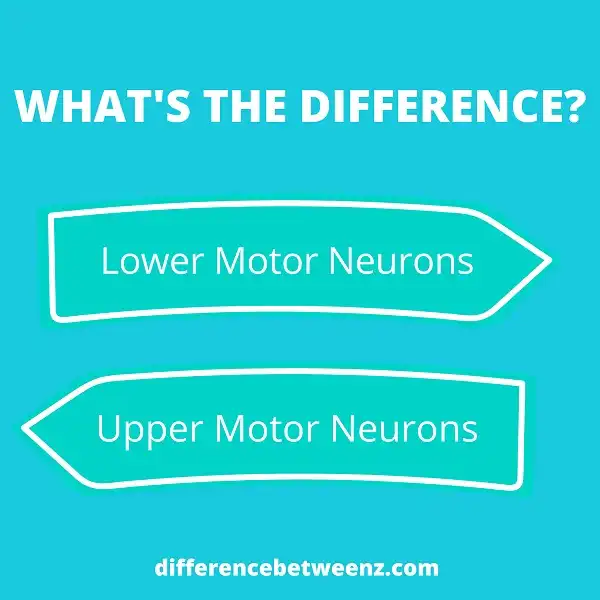 Difference between Upper and Lower Motor Neurons