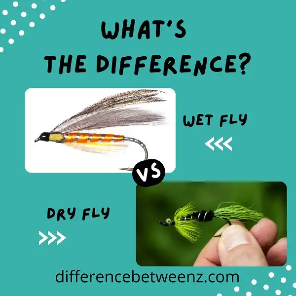 Difference between Wet and Dry Flies