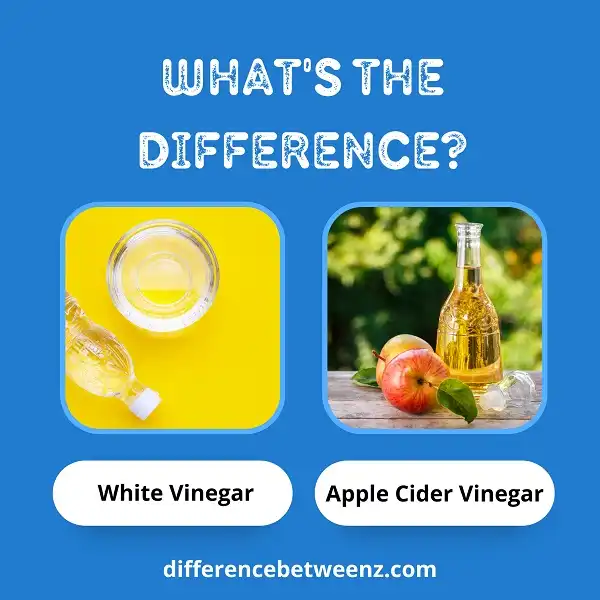 Difference between White Vinegar and Apple Cider Vinegar