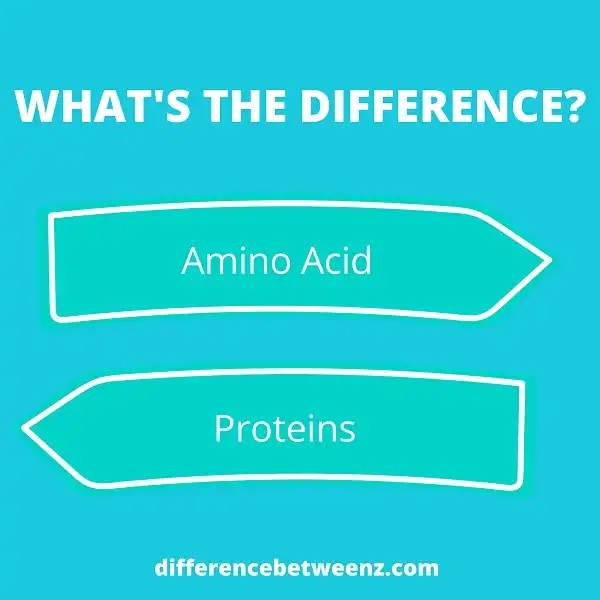Difference between Amino Acid and Proteins
