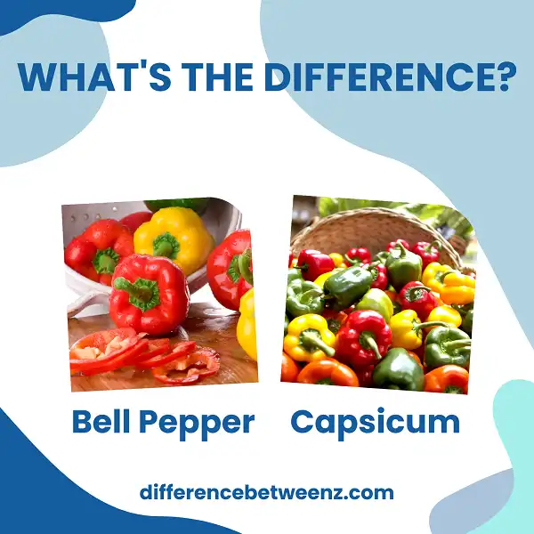 Difference between Bell Peppers and Capsicum