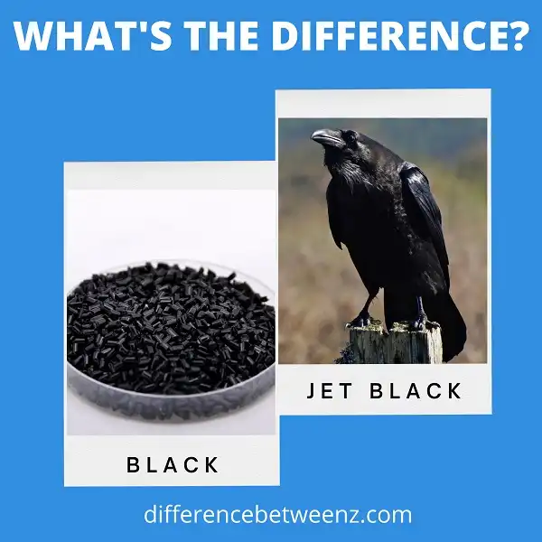 difference-between-black-and-jet-black-difference-betweenz