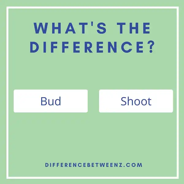 Difference between Bud and Shoot