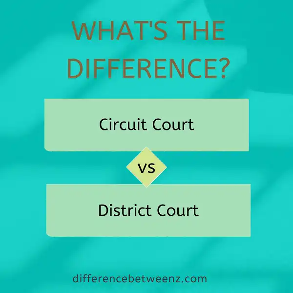 Difference between Circuit Court and District Court
