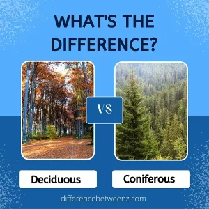 Difference between Deciduous and Coniferous